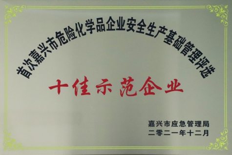 十佳示范企業(yè)